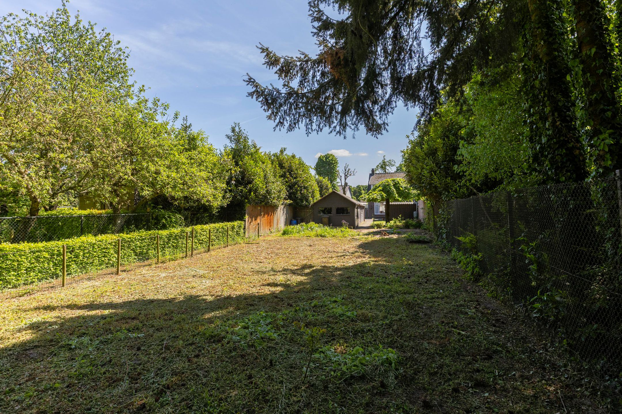 Foto 3 van Het Groen 55-A