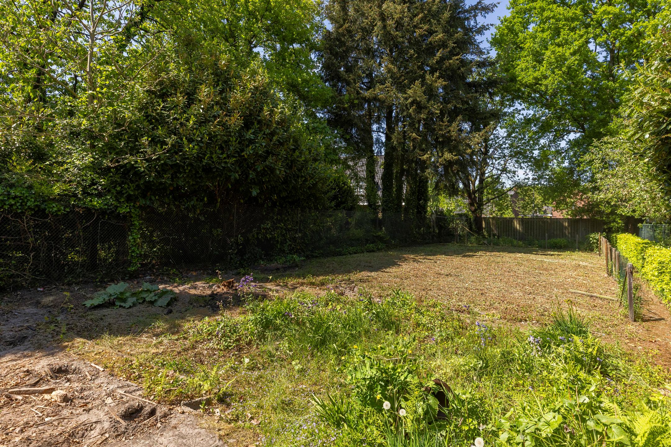 Foto 36 van Het Groen 55-A