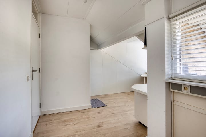 Foto 37 van Van Eijsingapark 6