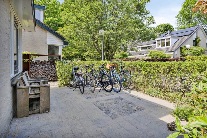 Foto 50 van Van Eijsingapark 6