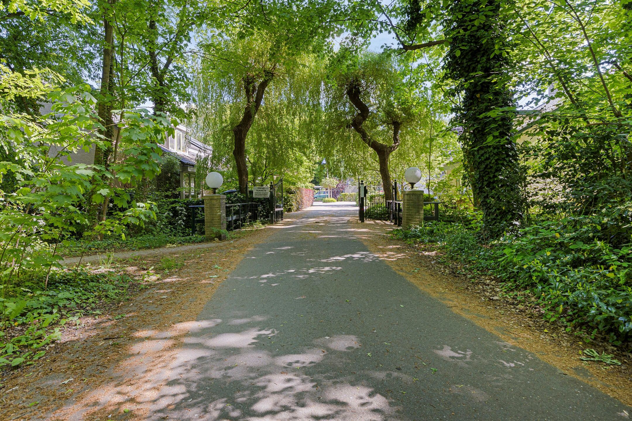 Foto 51 van Van Eijsingapark 6