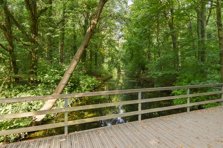 Foto 20 van Boslaan 163