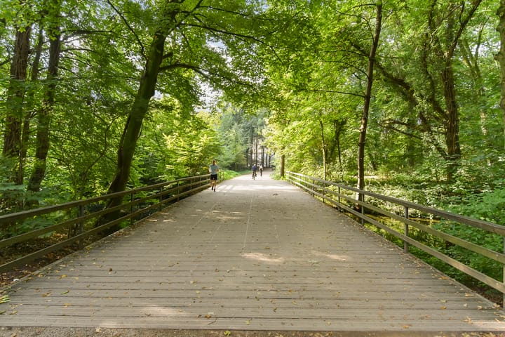 Foto 21 van Boslaan 163