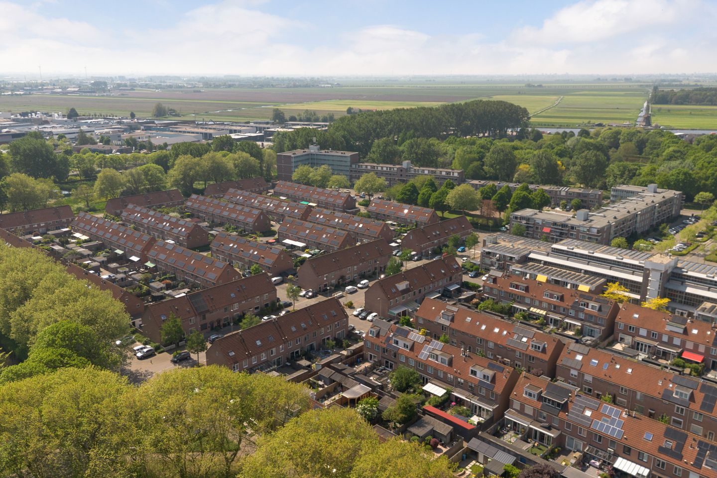 Foto 50 van Marketentster 241