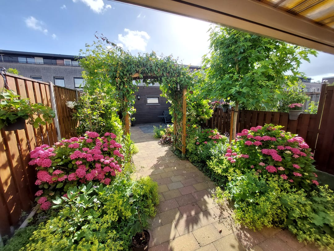 Photo 11 of Burgemeester Kieboomlaan 12