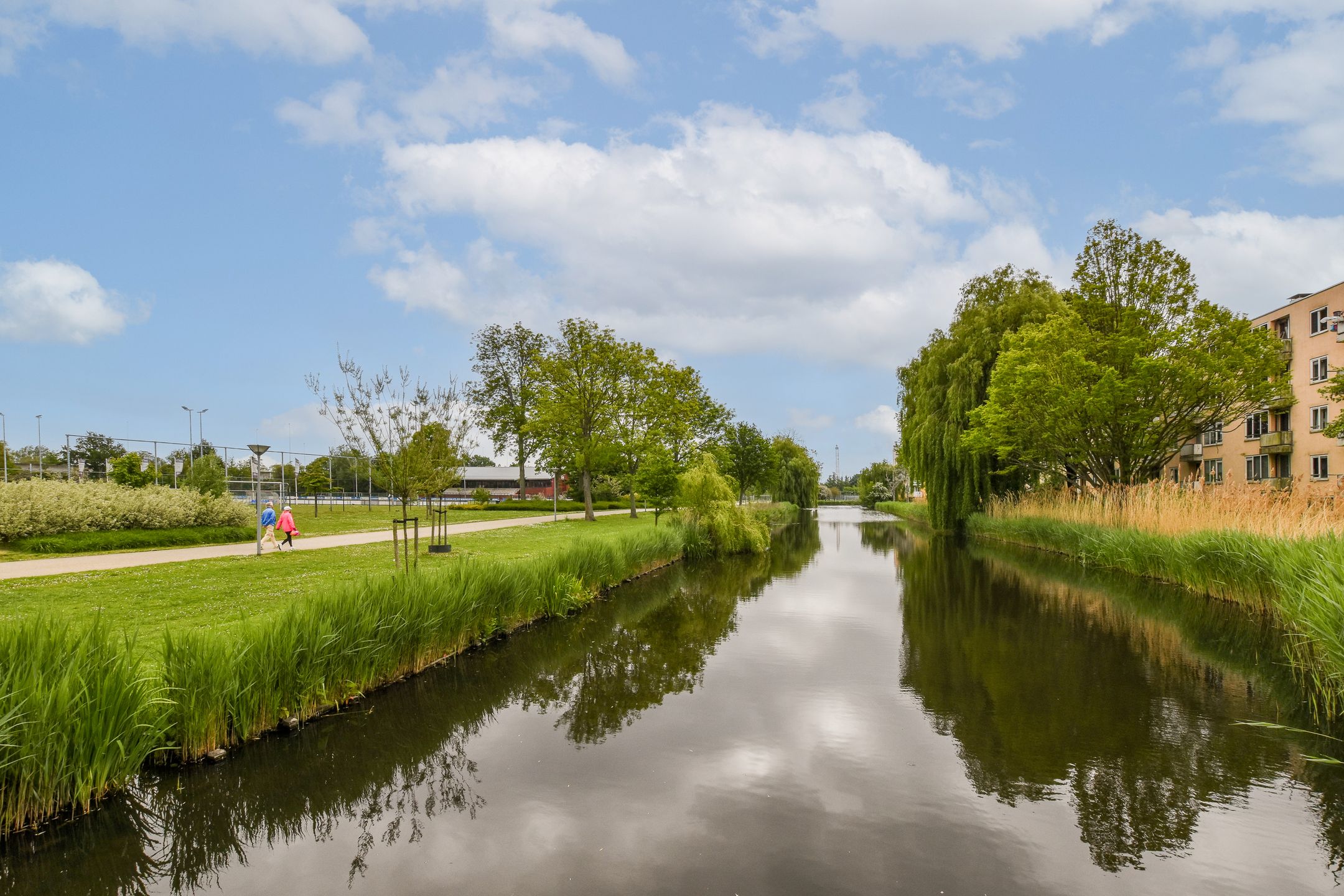 Photo 24 of Burgemeester Kieboomlaan 12