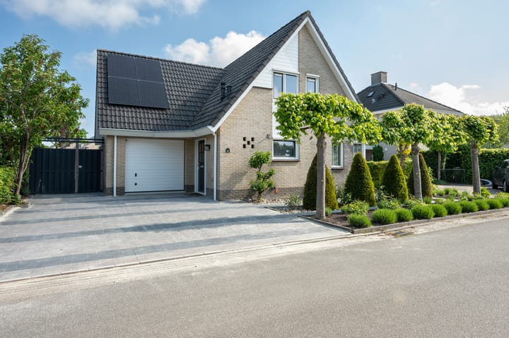 Foto 1 van Witrugspecht 49