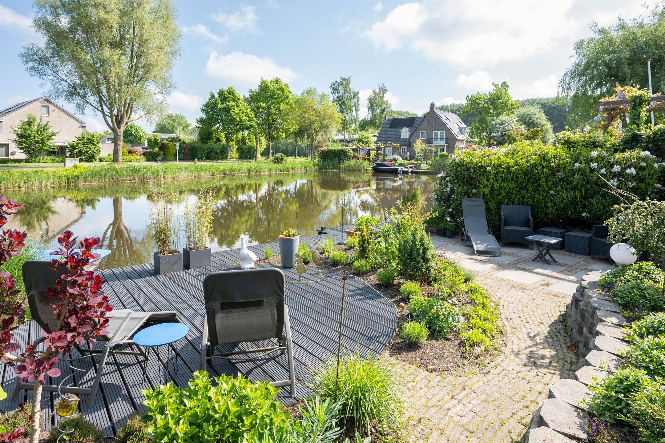 Foto 3 van Witrugspecht 49