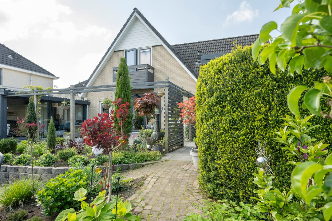 Foto 31 van Witrugspecht 49