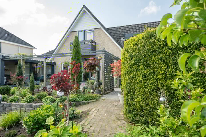 Foto 31 van Witrugspecht 49