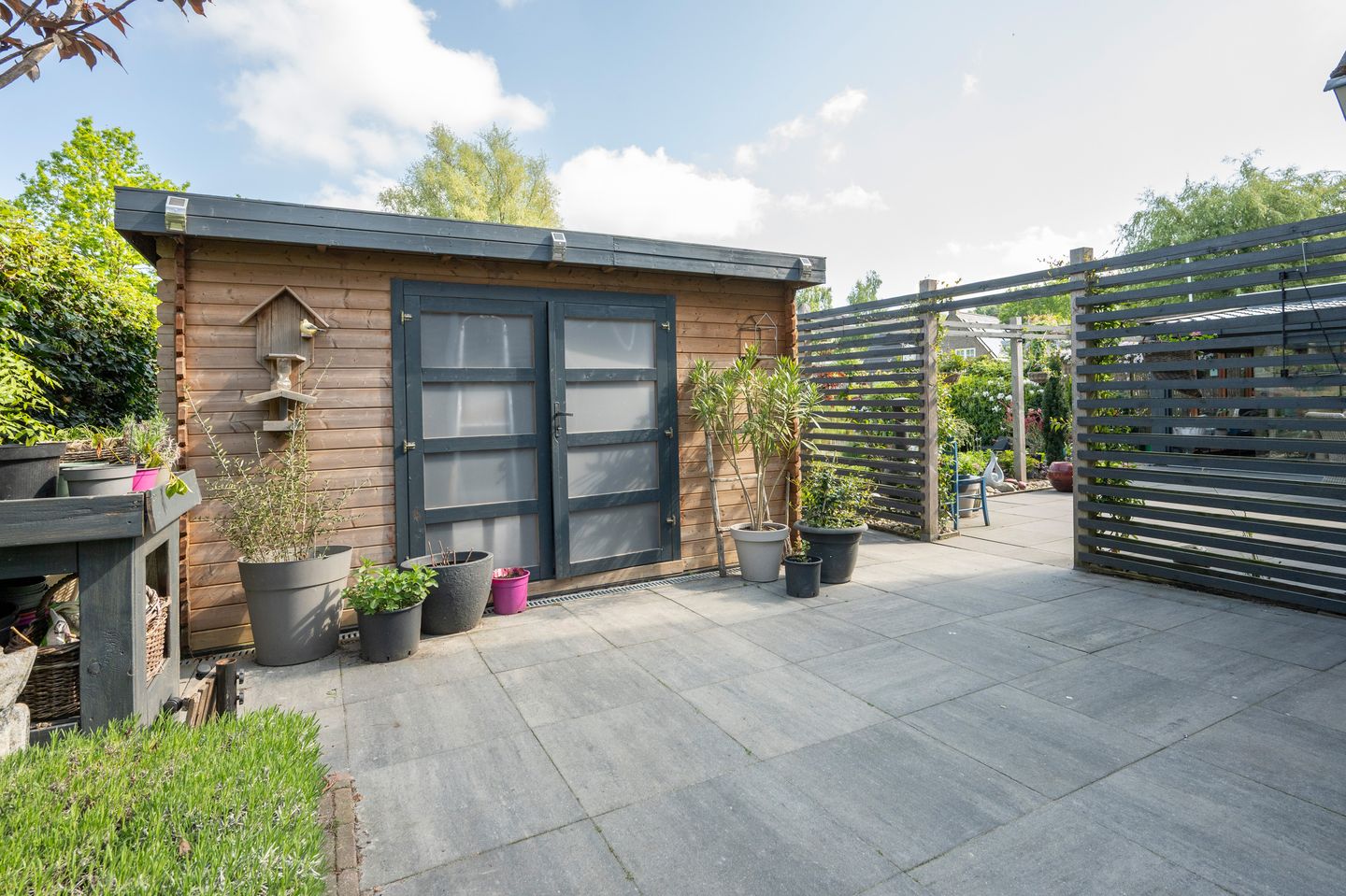 Foto 34 van Witrugspecht 49