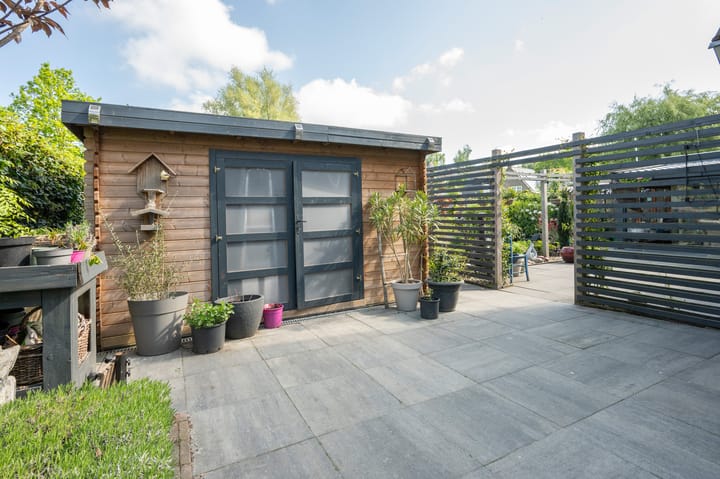 Foto 34 van Witrugspecht 49