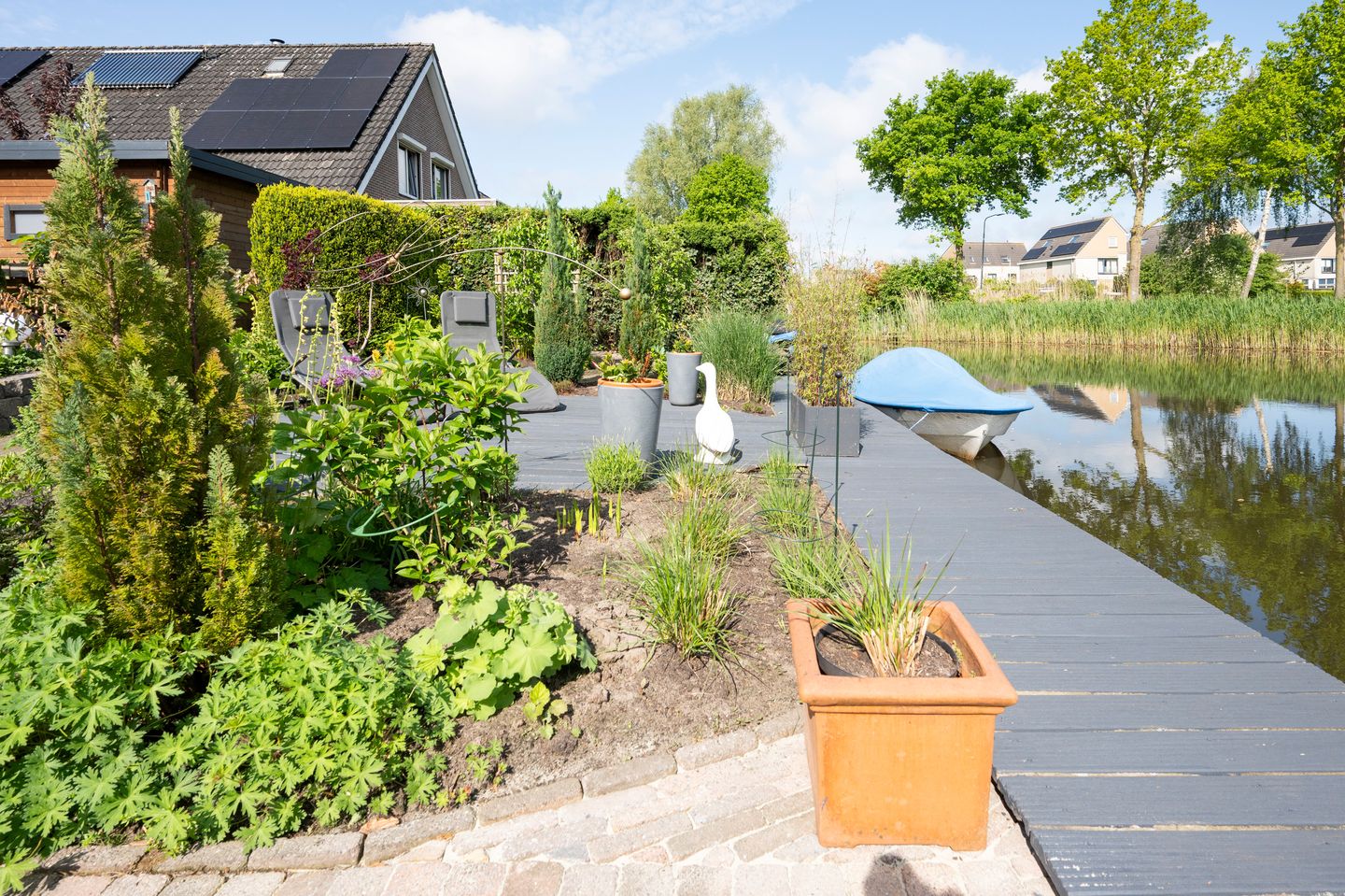 Foto 35 van Witrugspecht 49