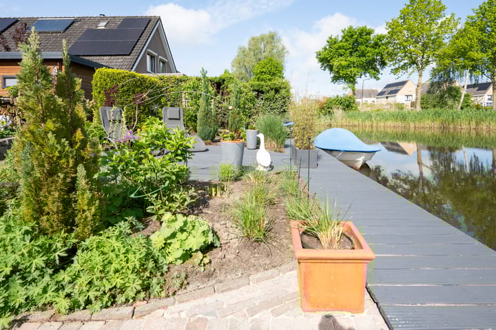 Foto 35 van Witrugspecht 49