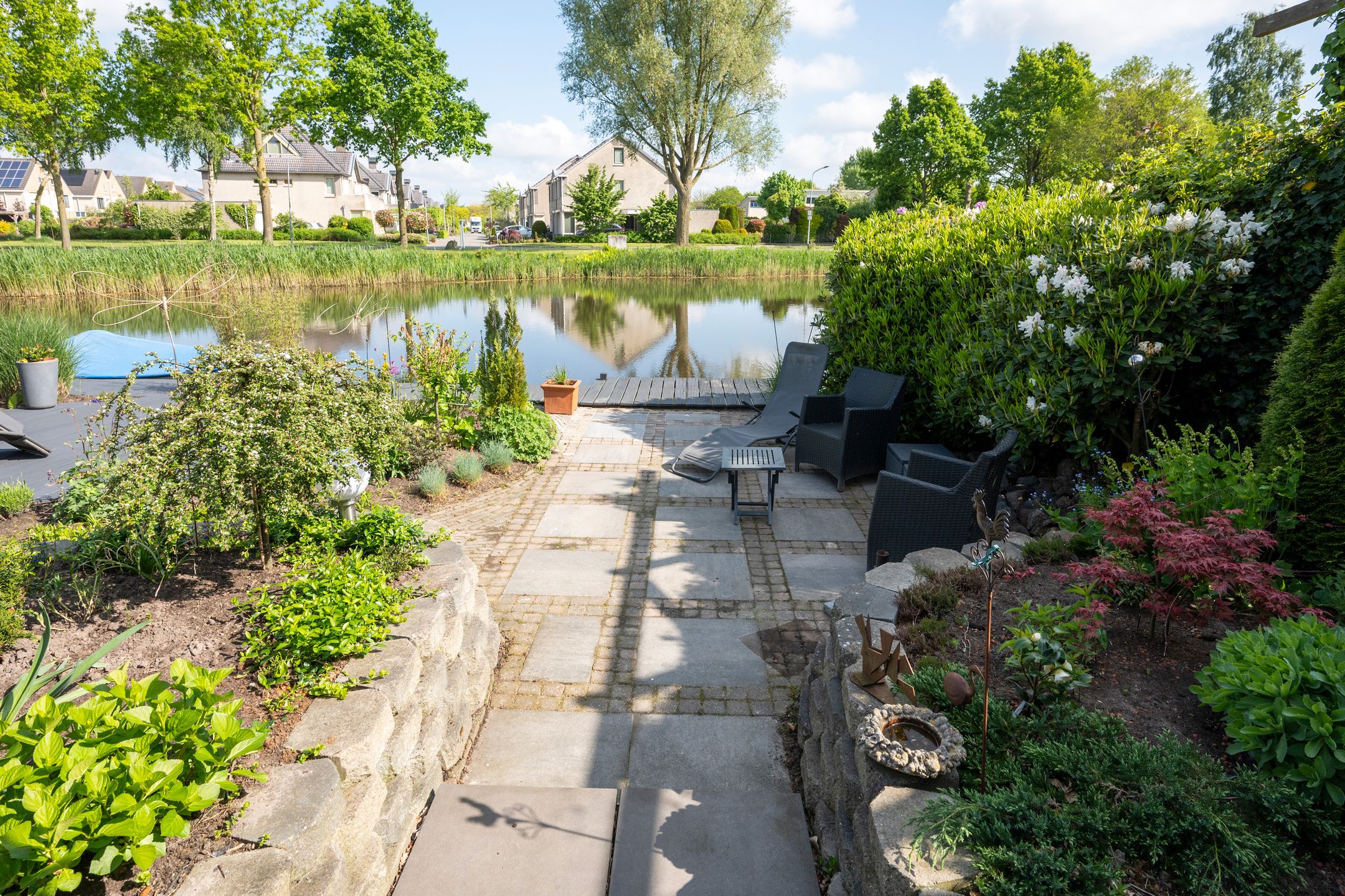 Foto 36 van Witrugspecht 49