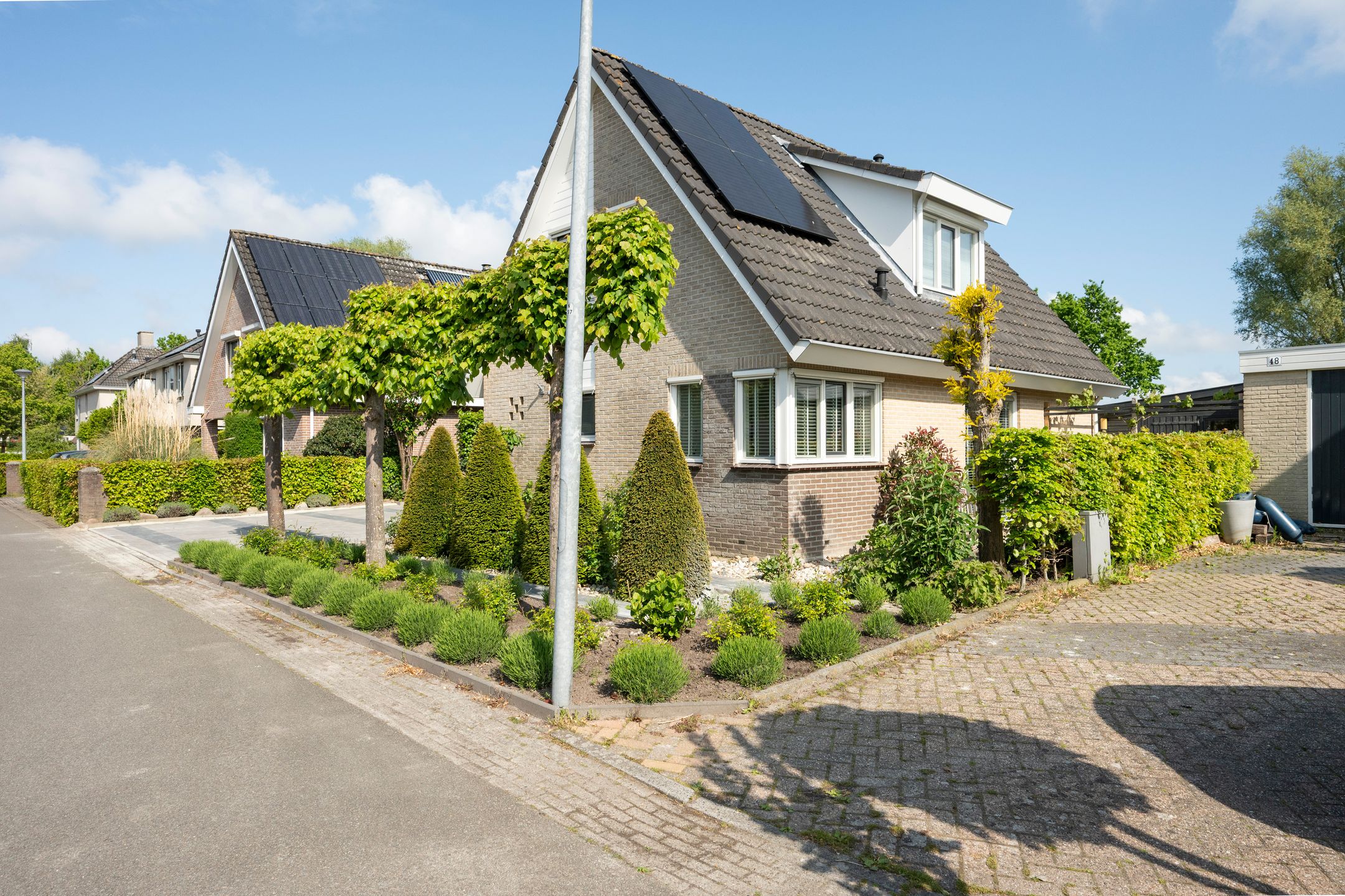 Foto 39 van Witrugspecht 49