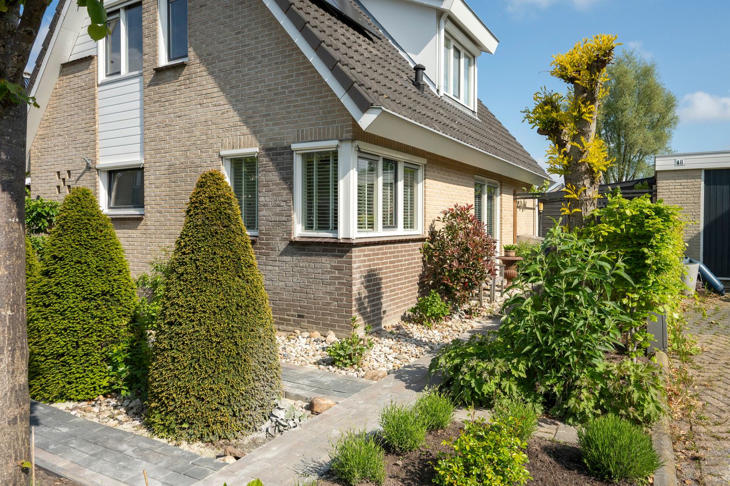 Foto 40 van Witrugspecht 49