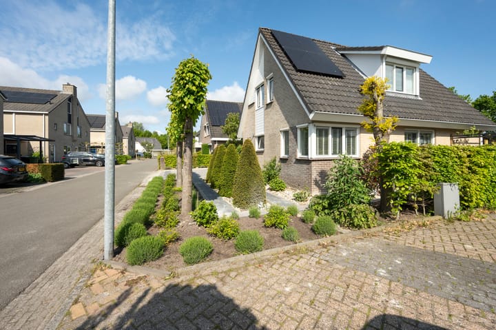 Foto 41 van Witrugspecht 49