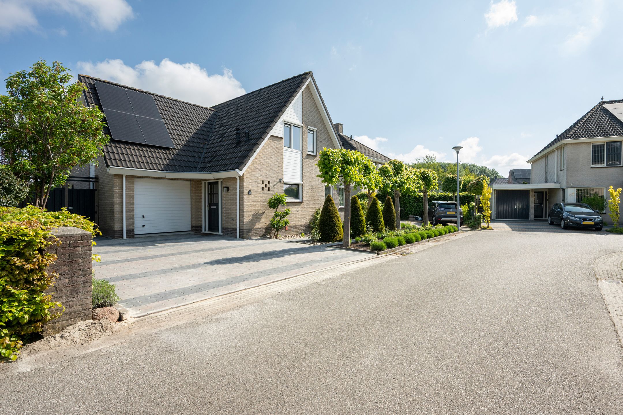 Foto 42 van Witrugspecht 49