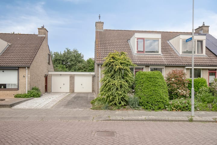 Foto 2 van Morgental 5