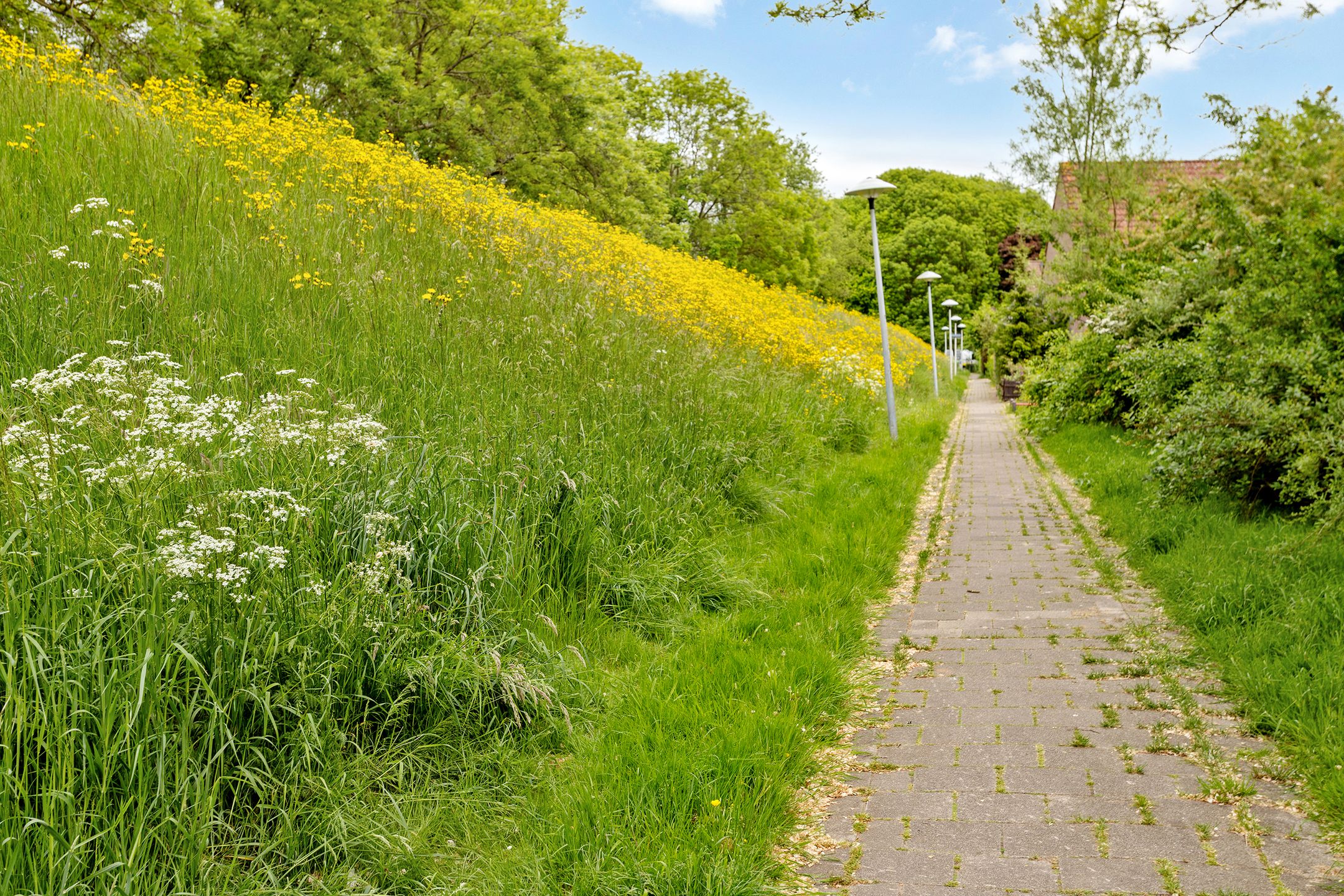 Foto 27 van New Yorkdreef 29