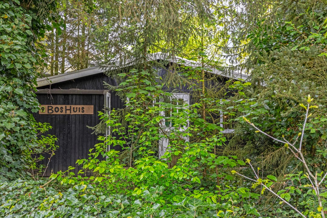 Foto 1 van Noordhoekstraat 27