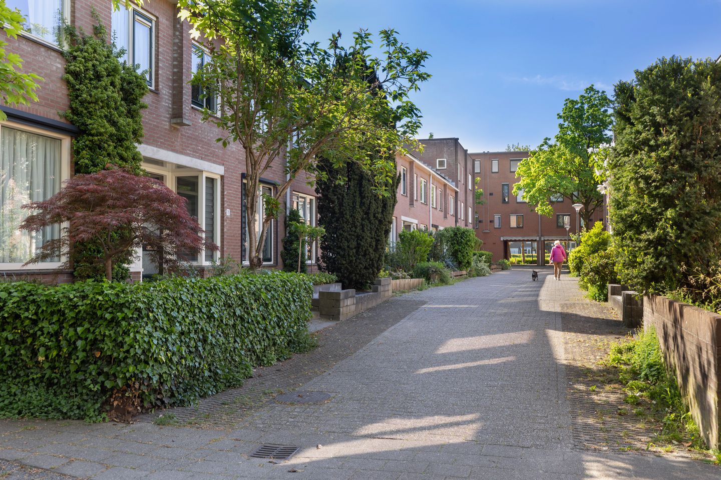 Photo 25 of Kortebeinstraat 6