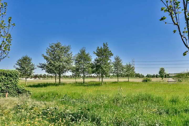 Foto 34 van Jack Sharp park 29