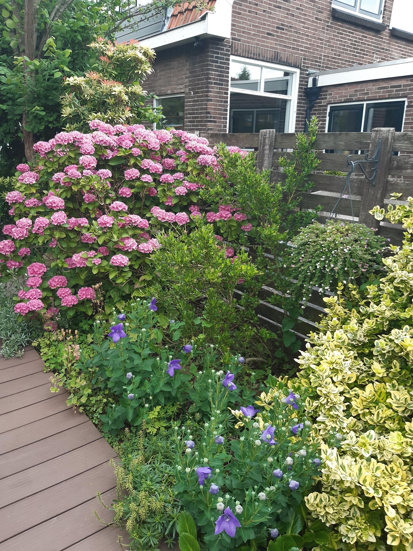 Foto 34 van Steenbakkersstraat 48