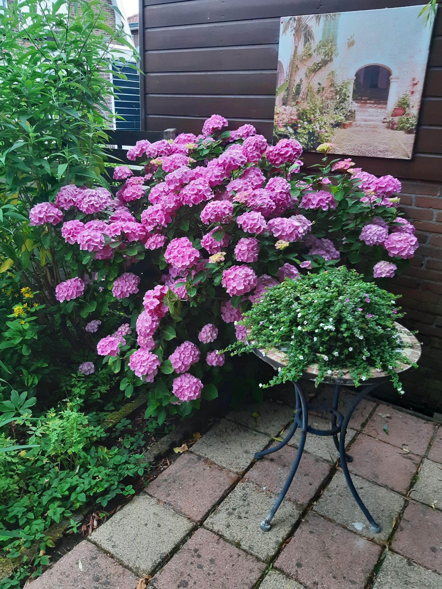 Foto 35 van Steenbakkersstraat 48