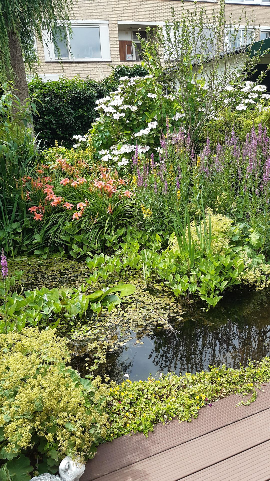 Foto 37 van Steenbakkersstraat 48