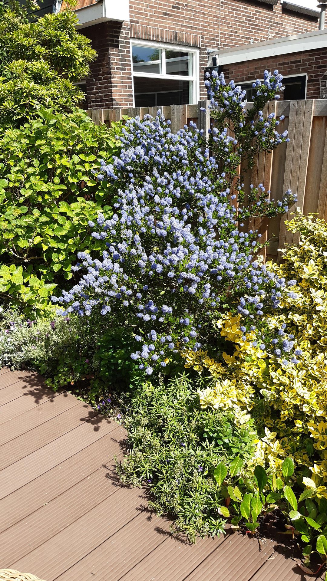 Foto 38 van Steenbakkersstraat 48