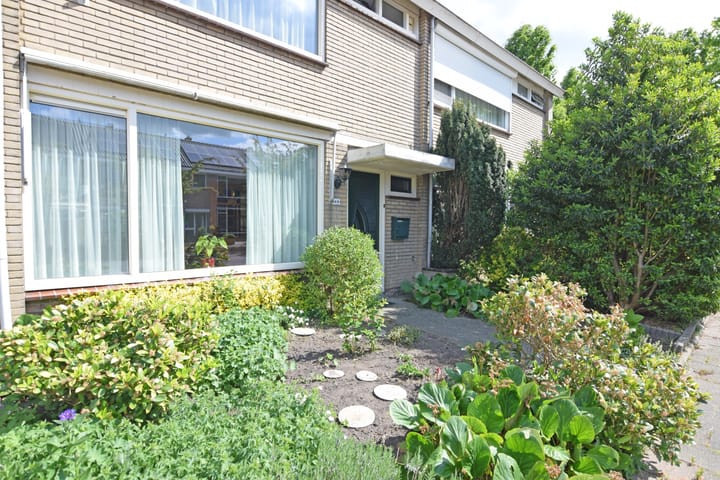 Foto 2 van Camphuysenstraat 49