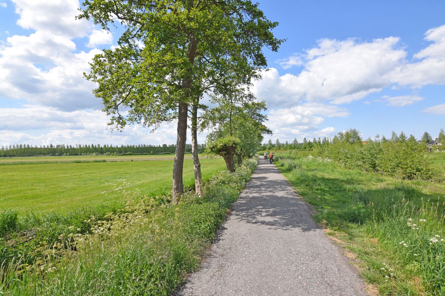 Foto 29 van Camphuysenstraat 49