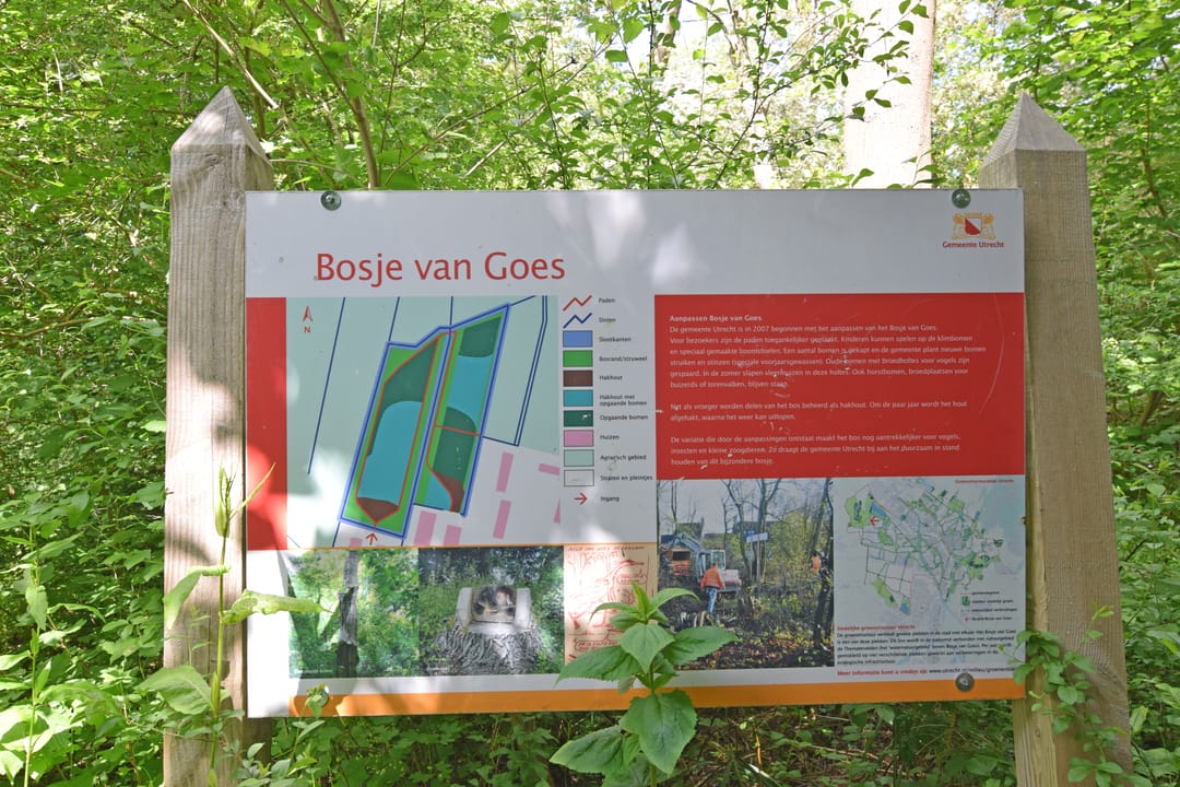 Foto 31 van Camphuysenstraat 49