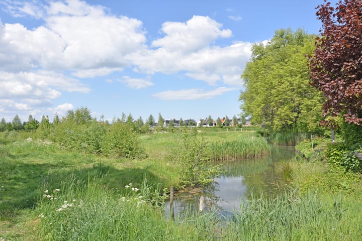 Photo 32 of Camphuysenstraat 49