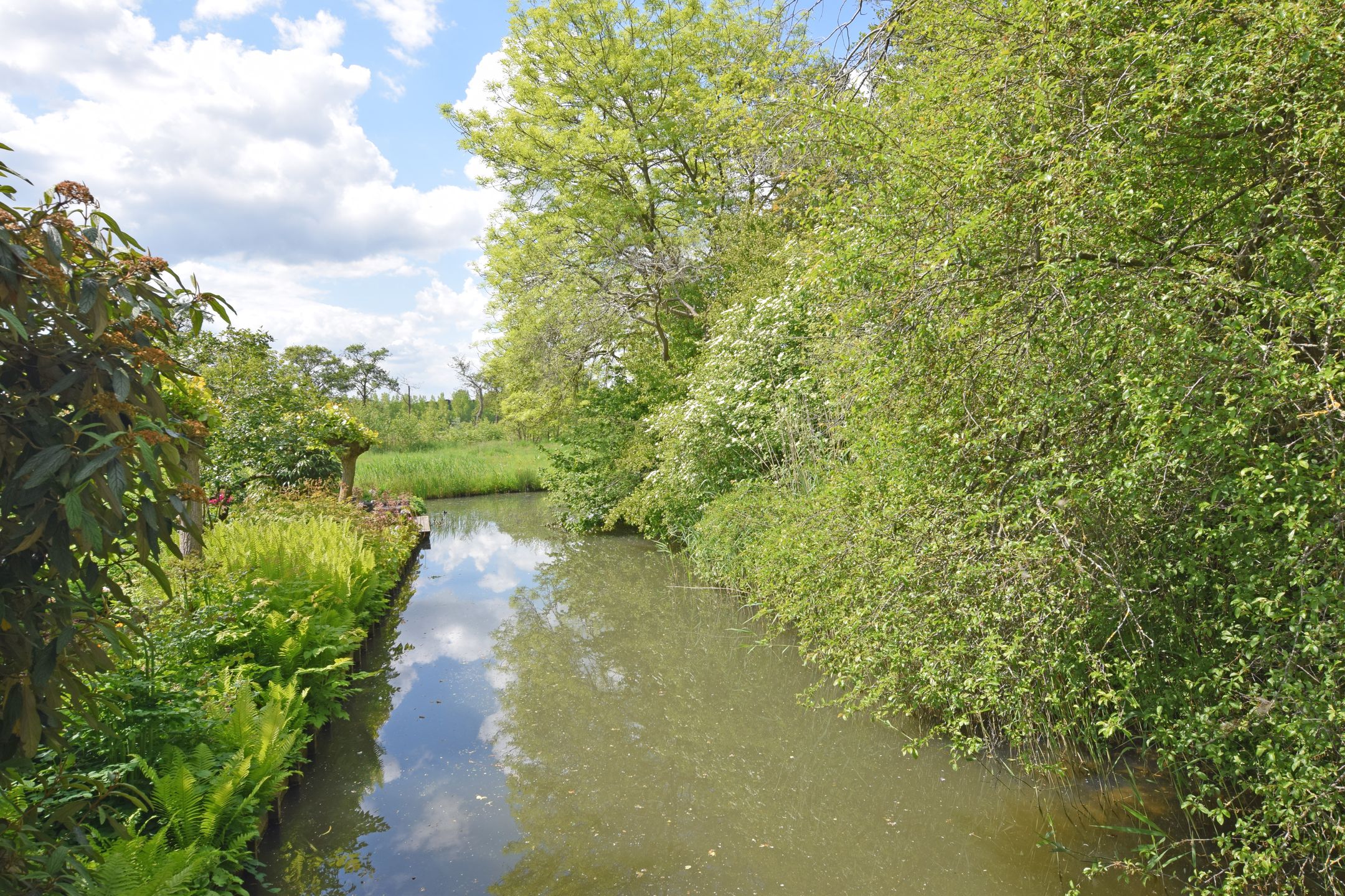 Foto 33 van Camphuysenstraat 49