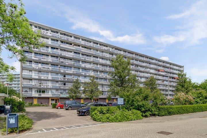 Ganzenstraat 204