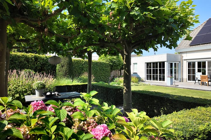 Foto 55 van De Flank 1