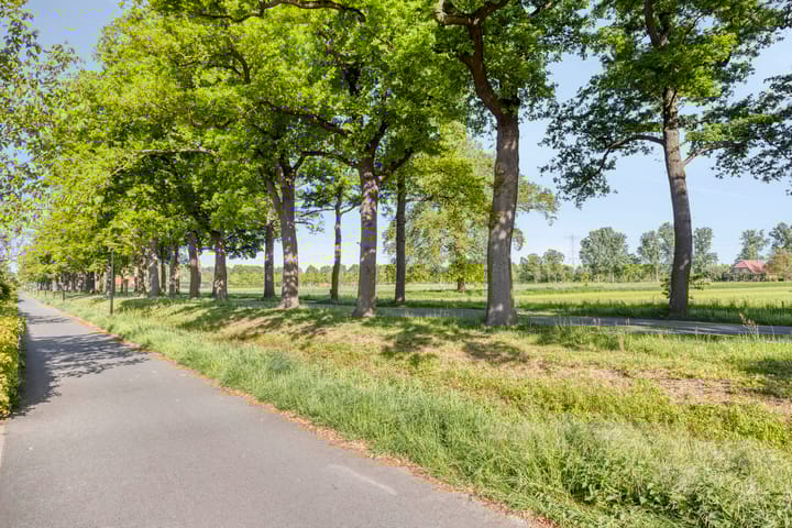 Foto 31 van Van der Willigenstraat 31