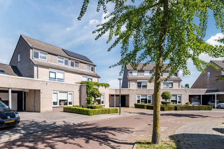 Foto 52 van Grutto 12