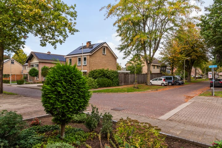 Foto 24 van Anna van Burenplein 2