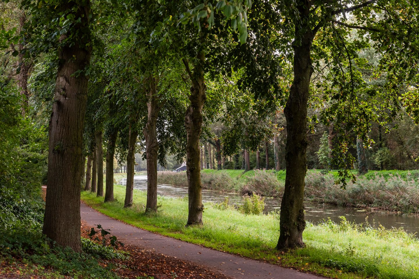 Foto 25 van Anna van Burenplein 2