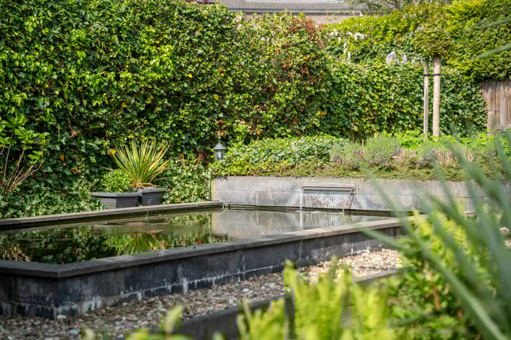 Foto 46 van Fonteinkruidlaan 11