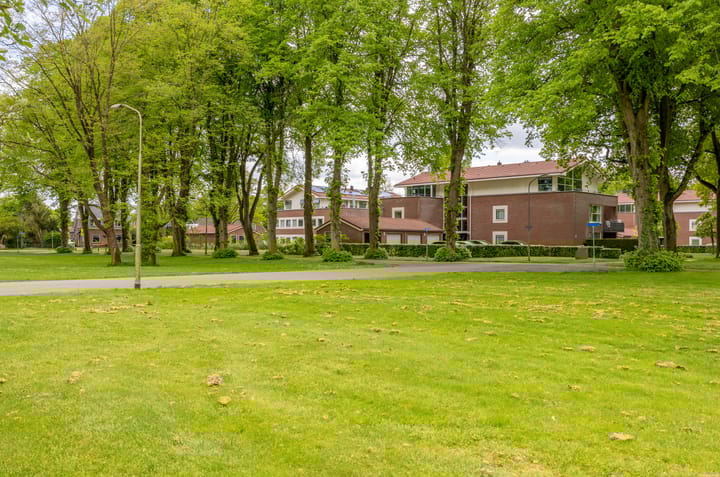 Foto 39 van Meeuwenlaan 9