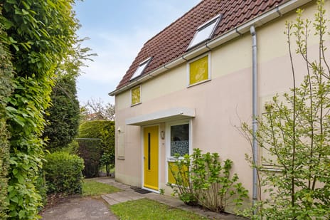 undefined main image