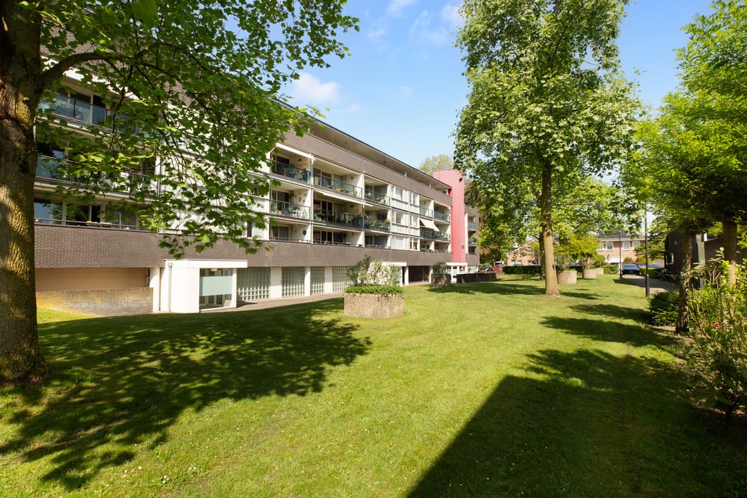 Photo 17 of Frederik Hendrikhof 33