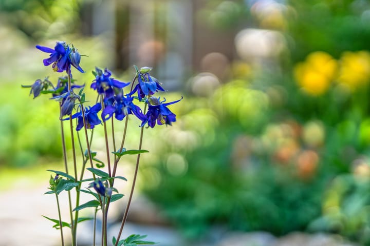 Foto 18 van Rijksweg Zuid 130