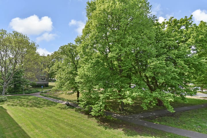 Foto 25 van Smaragdhorst 74