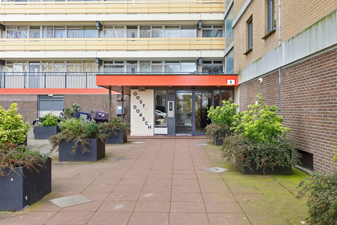 Photo 8 of Oost-Dorsch 87